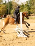DSC08174 DSC08174
