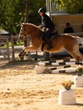 DSC08175 DSC08175