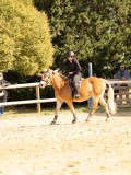 DSC08177 DSC08177
