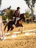 DSC07578 DSC07578