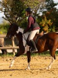DSC07580 DSC07580