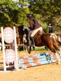 DSC07581 DSC07581