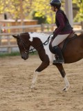 DSC07590 DSC07590