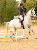 DSC09495 DSC09495