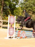 DSC08314 DSC08314