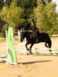 DSC08325 DSC08325