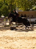 DSC08329 DSC08329