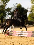 DSC07665 DSC07665