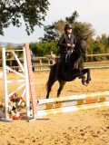 DSC07667 DSC07667