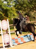 DSC07669 DSC07669