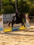 DSC07671 DSC07671