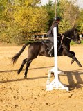 DSC07676 DSC07676