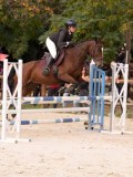 DSC09656 DSC09656