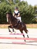 DSC08829 DSC08829
