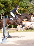 DSC08835 DSC08835
