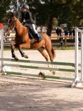 DSC06958 DSC06958