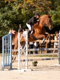DSC00324 DSC00324