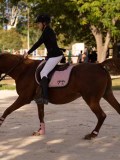 DSC00330 DSC00330