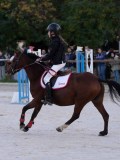 DSC05727 DSC05727