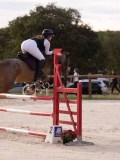 DSC00239 DSC00239