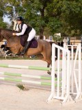 DSC00244 DSC00244
