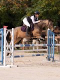 DSC00246 DSC00246