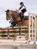DSC00249 DSC00249