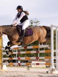 DSC00250 DSC00250