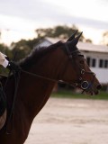 DSC00453 DSC00453