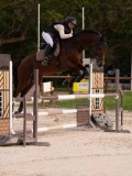 DSC00454 DSC00454
