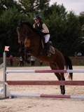 DSC00457 DSC00457