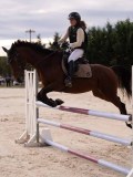 DSC00458 DSC00458