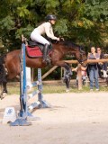 DSC08639 DSC08639