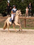 DSC09568 DSC09568