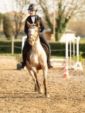 DSC04635 DSC04635