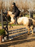 DSC04643 DSC04643