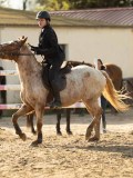 DSC04644 DSC04644