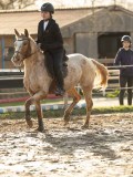 DSC04645 DSC04645