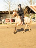 DSC04650 DSC04650