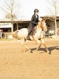 DSC04652 DSC04652