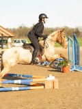 DSC04653 DSC04653