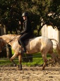 DSC04656 DSC04656
