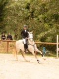 DSC05394 DSC05394