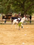 DSC01191