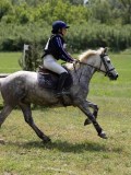 IMG_3844 IMG_3844