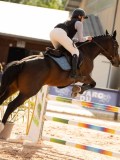 DSC03476 DSC03476