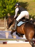 DSC03484 DSC03484