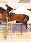 DSC00449 DSC00449