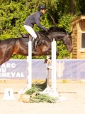 DSC03736 DSC03736