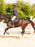 DSC03738 DSC03738